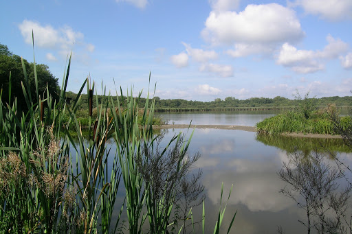 Virelles Lake